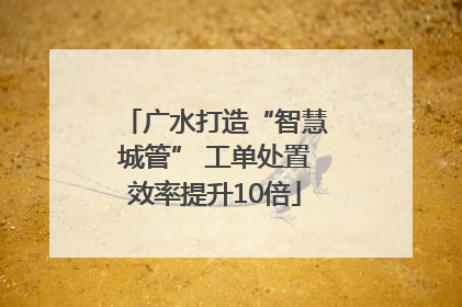 广水打造“智慧城管” 工单处置效率提升10倍