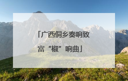 广西侗乡奏响致富“椒”响曲