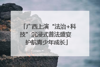 广西上演“法治+科技”沉浸式普法盛宴 护航青少年成长