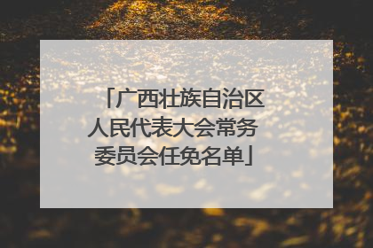 广西壮族自治区人民代表大会常务委员会任免名单