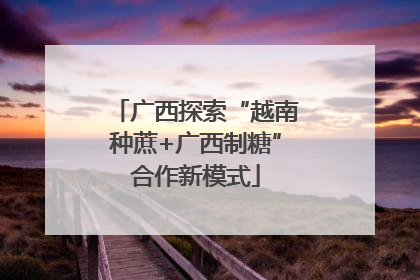 广西探索“越南种蔗+广西制糖”合作新模式