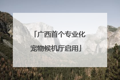 广西首个专业化宠物候机厅启用
