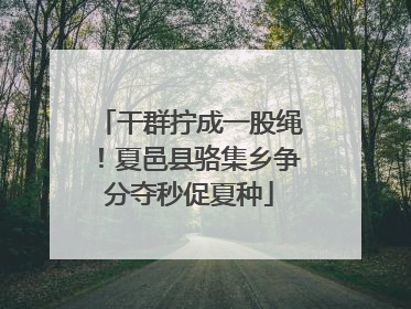 干群拧成一股绳！夏邑县骆集乡争分夺秒促夏种