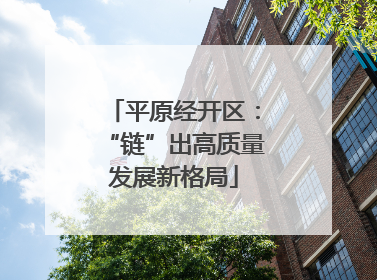 平原经开区：“链”出高质量发展新格局