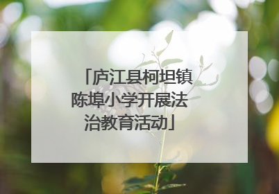 庐江县柯坦镇陈埠小学开展法治教育活动