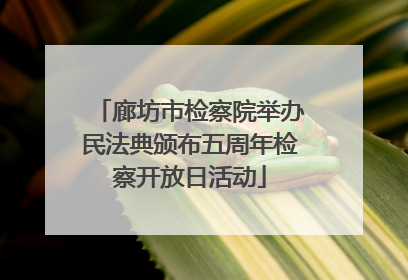 廊坊市检察院举办民法典颁布五周年检察开放日活动