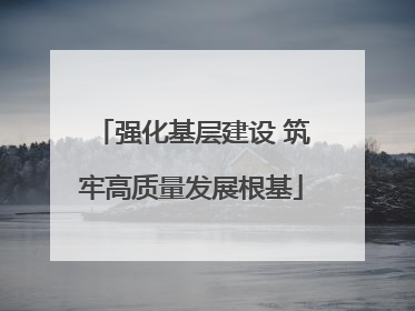 强化基层建设 筑牢高质量发展根基