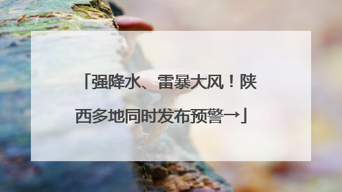 强降水、雷暴大风！陕西多地同时发布预警→