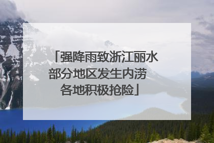 强降雨致浙江丽水部分地区发生内涝 各地积极抢险