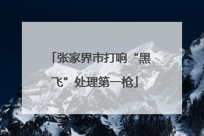 张家界市打响“黑飞”处理第一枪