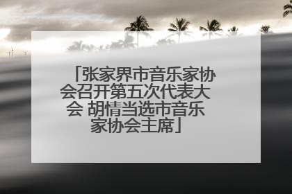 张家界市音乐家协会召开第五次代表大会 胡情当选市音乐家协会主席