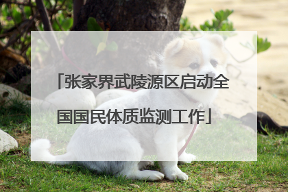 张家界武陵源区启动全国国民体质监测工作