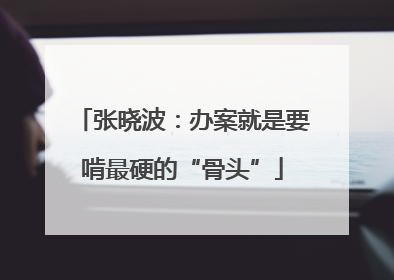 张晓波：办案就是要啃最硬的“骨头”