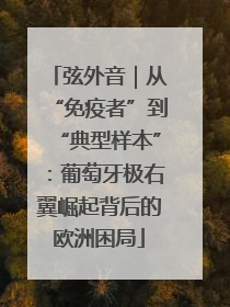弦外音｜从“免疫者”到“典型样本”：葡萄牙极右翼崛起背后的欧洲困局