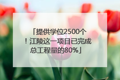 提供学位2500个！江陵这一项目已完成总工程量的80%