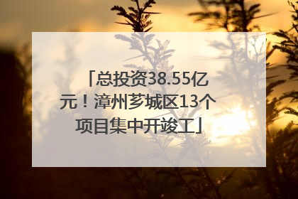 总投资38.55亿元！漳州芗城区13个项目集中开竣工