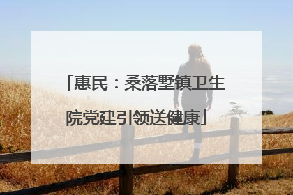 惠民：桑落墅镇卫生院党建引领送健康