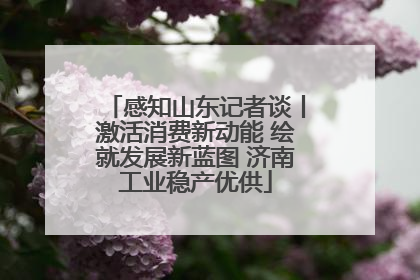 感知山东记者谈丨激活消费新动能 绘就发展新蓝图 济南工业稳产优供