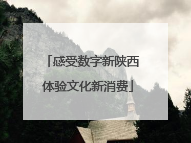 感受数字新陕西 体验文化新消费