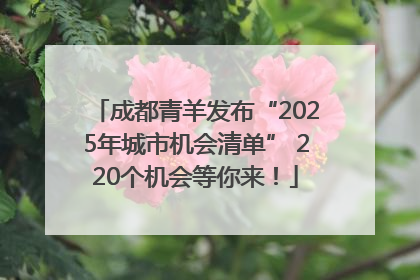成都青羊发布“2025年城市机会清单” 220个机会等你来！