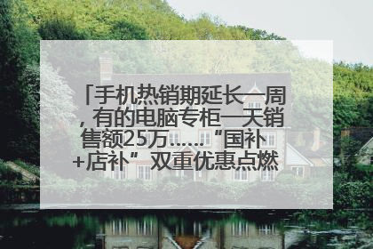 手机热销期延长一周，有的电脑专柜一天销售额25万……“国补+店补”双重优惠点燃德州“考后经济”