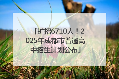 扩招6710人！2025年成都市普通高中招生计划公布