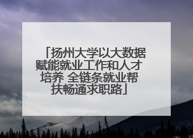 扬州大学以大数据赋能就业工作和人才培养 全链条就业帮扶畅通求职路