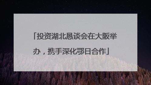 投资湖北恳谈会在大阪举办，携手深化鄂日合作
