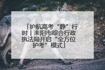 护航高考“静”行时丨耒阳市综合行政执法局开启“全方位护考”模式