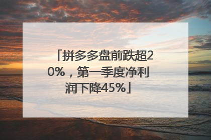 拼多多盘前跌超20%，第一季度净利润下降45%