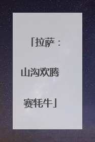 拉萨：山沟欢腾赛牦牛