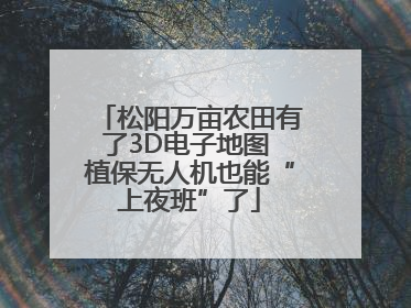 松阳万亩农田有了3D电子地图 植保无人机也能“上夜班”了