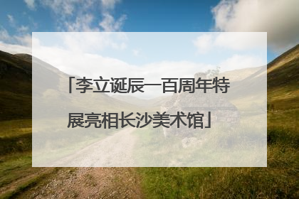 李立诞辰一百周年特展亮相长沙美术馆