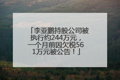 李亚鹏持股公司被执行约244万元，一个月前因欠税561万元被公告！