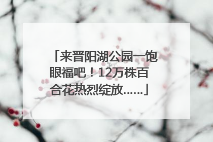 来晋阳湖公园一饱眼福吧！12万株百合花热烈绽放……