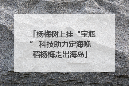 杨梅树上挂“宝瓶” 科技助力定海晚稻杨梅走出海岛
