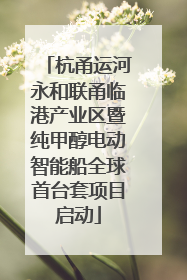 杭甬运河永和联甬临港产业区暨纯甲醇电动智能船全球首台套项目启动