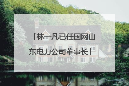 林一凡已任国网山东电力公司董事长