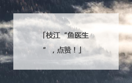 枝江“鱼医生”，点赞！