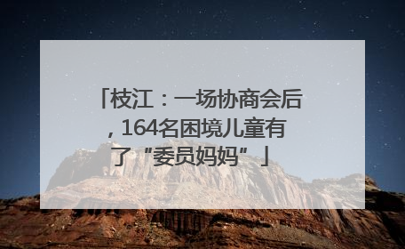 枝江：一场协商会后，164名困境儿童有了“委员妈妈”