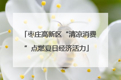 枣庄高新区“清凉消费”点燃夏日经济活力