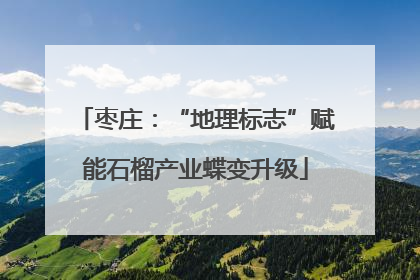 枣庄：“地理标志”赋能石榴产业蝶变升级