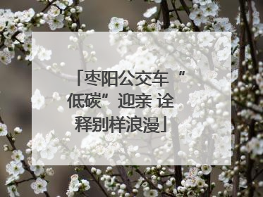 枣阳公交车“低碳”迎亲 诠释别样浪漫