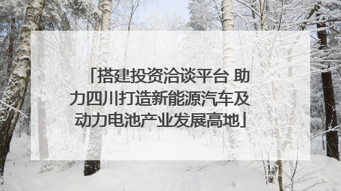 搭建投资洽谈平台 助力四川打造新能源汽车及动力电池产业发展高地