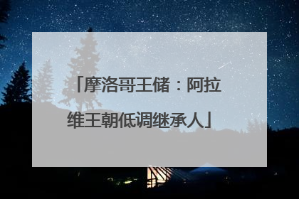 摩洛哥王储：阿拉维王朝低调继承人