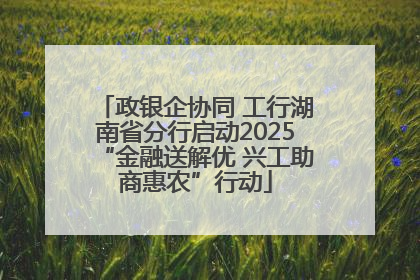 政银企协同 工行湖南省分行启动2025“金融送解优 兴工助商惠农”行动