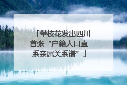 攀枝花发出四川首张“户籍人口直系亲属关系谱”