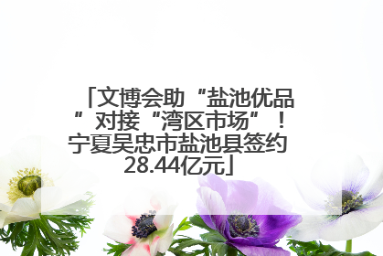文博会助“盐池优品”对接“湾区市场”！宁夏吴忠市盐池县签约28.44亿元