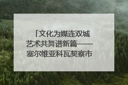文化为媒连双城 艺术共舞谱新篇——塞尔维亚科瓦契察市代表团访问日照