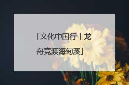 文化中国行丨龙舟竞渡海甸溪